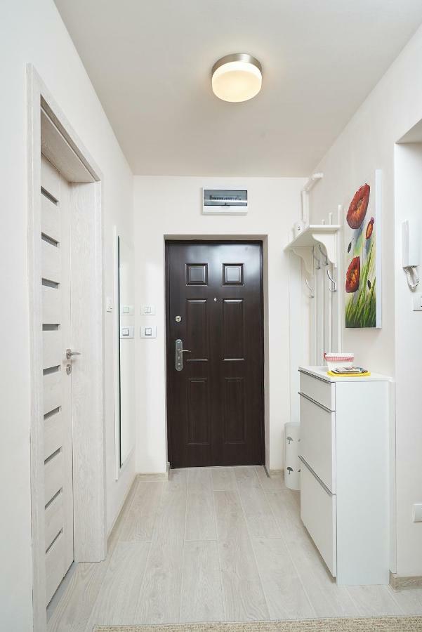 Exotic Rami'S Apartments Timisoara Exterior foto